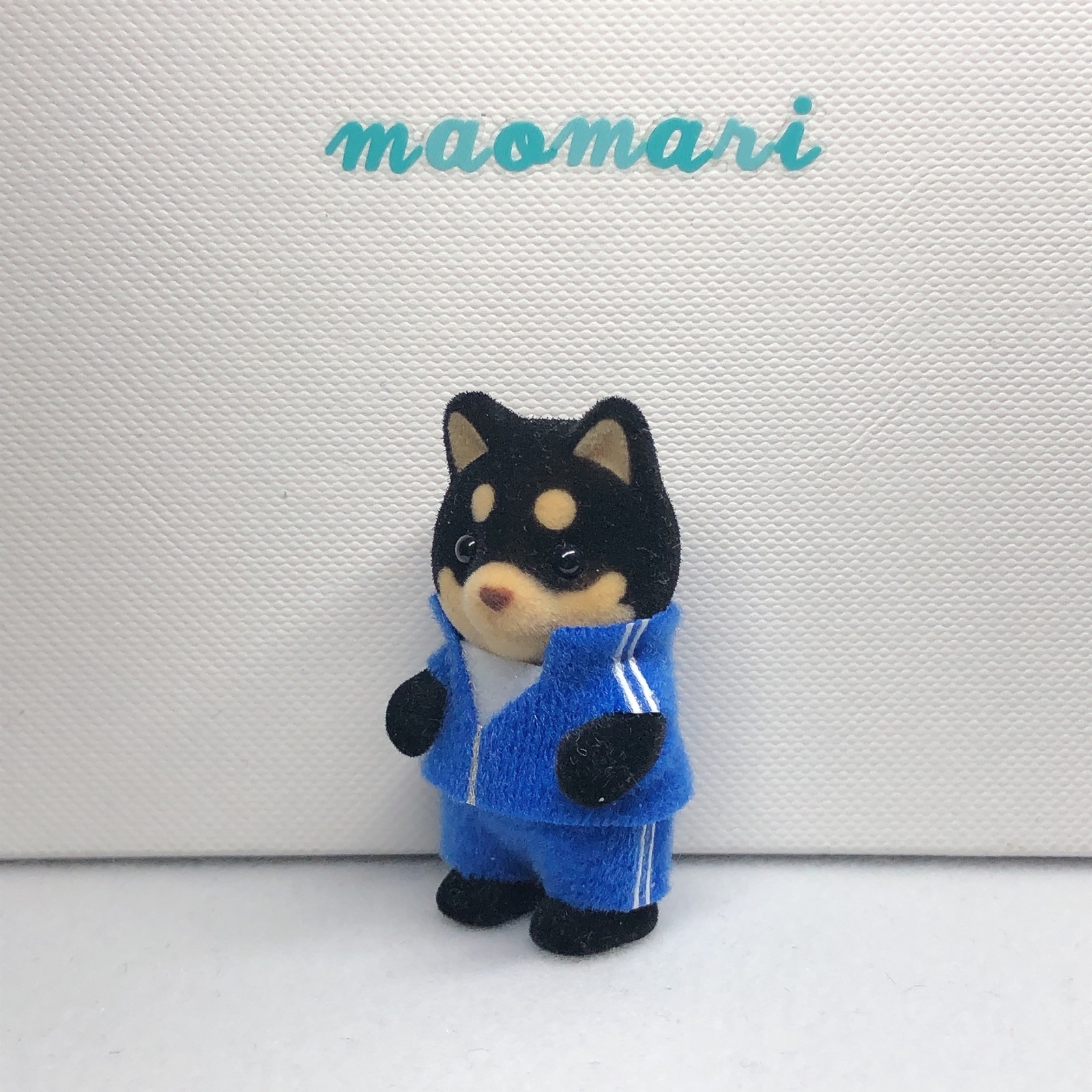 小さなふくらみ さーくる社