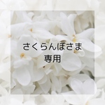 さくらんぼ様専用