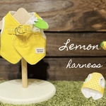 レモン🍋ちゃんハーネス