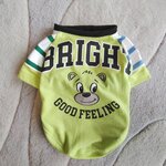 犬服！Msize！クマTシャツ