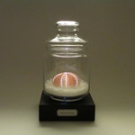 ナガウニ 骨格標本 LEDランプ ライト B001