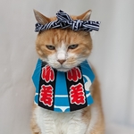 いなせな祭りコスプレ