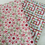 生地セットmoda【JOLLY GOOD】 55×50×2