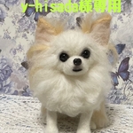 羊毛フェルト　チワワ