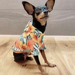 オーダー犬服 UVカット・ラッシュガードパーカー ハワイアンオレンジ 