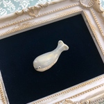 古代魚サカバンバスピス (Sacabambaspis)のブローチ