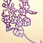 【すず様専用ページ】