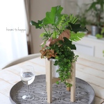 【再販】スタンド付♪観葉植物のギャザリング寄せ植え