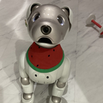 aiboちゃんの半月カットのスイカ🍉スタイ