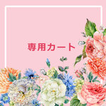 専用カート