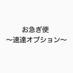 お急ぎの方