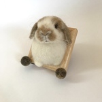 〜むぎゅっと身を乗り出してるうさぎさん〜 うさぎ 羊毛フェルト 壁飾り フレーム 壁掛け ロップイヤー ミニうさぎ ブロークンオレンジ