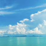 ⋆⸜ ⚘ ⸝⋆専用ページです⋆⸜ ⚘ ⸝⋆