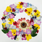 押し花素材No.200