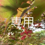 専用