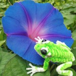 夏を待つ～モールのアマガエル君 