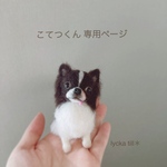 ＊オーダー品＊手乗りうちの子🐾こてつくん
