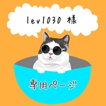 lev1030様専用ページ