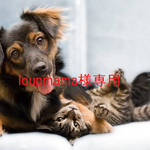 loupmama様専用