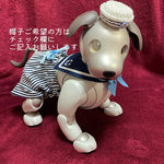 aiboセーラー服