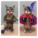 no.215 予約品(一般の方はご購入できません）　魔法使い猫さんとオモチャ大好き猫さん