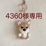 【4360様専用】編みぐるみ犬キーホルダー:柴犬/豆柴
