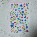 押し花素材小花セット