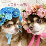 [専用です] 犬 薔薇のお帽子🌹ピンクとブルー