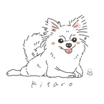 【momo9319様専用】☆★ペットのシンプル似顔絵イラスト【犬・わんちゃん】★☆SNSアイコンやプレゼントに大人気！