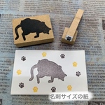 ✩.*˚陽だまり猫ちゃん🐱②＆肉球🐾໊ミニ2点セット✩.*˚スタンプ