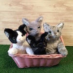 t様愛猫ちゃんオーダーメイド品　縫いぐるみ　15センチ