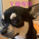 アンクレット