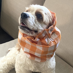 ギンガムチェック★オレンジ　犬用スヌード　中型犬用スヌード