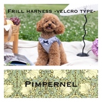 Sale Best of Morris Pimpernelおめかしフリルハーネス　ベルクロタイプ