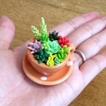 ミニティーカップの多肉植物寄せ植え(オレンジ)