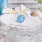 3点のみ【先着販売】常夏ドルチェ②