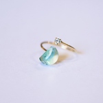 50 colors of lunar eclips ring #17