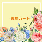専用カート