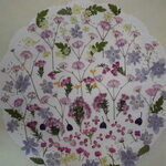 押し花 素材 エリカ他小花セット　💐