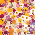 ♡new♡作家様必見♡押し花MIXセット♡押し花セット