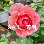 Sさま　専用ページ
