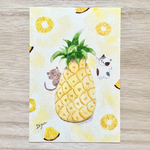 🍍透明水彩画「パイナップルと猫」 イラストポストカード 2枚セット 夏　暑中見舞い　残暑見舞い　ねこ　ネコ　フルーツ　果物　お中元　お礼状　バースデーカード　トロピカル
