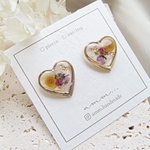 new♡mimosa  botanical