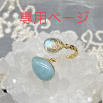 ❤️chiko8kei様専用❤️  a316