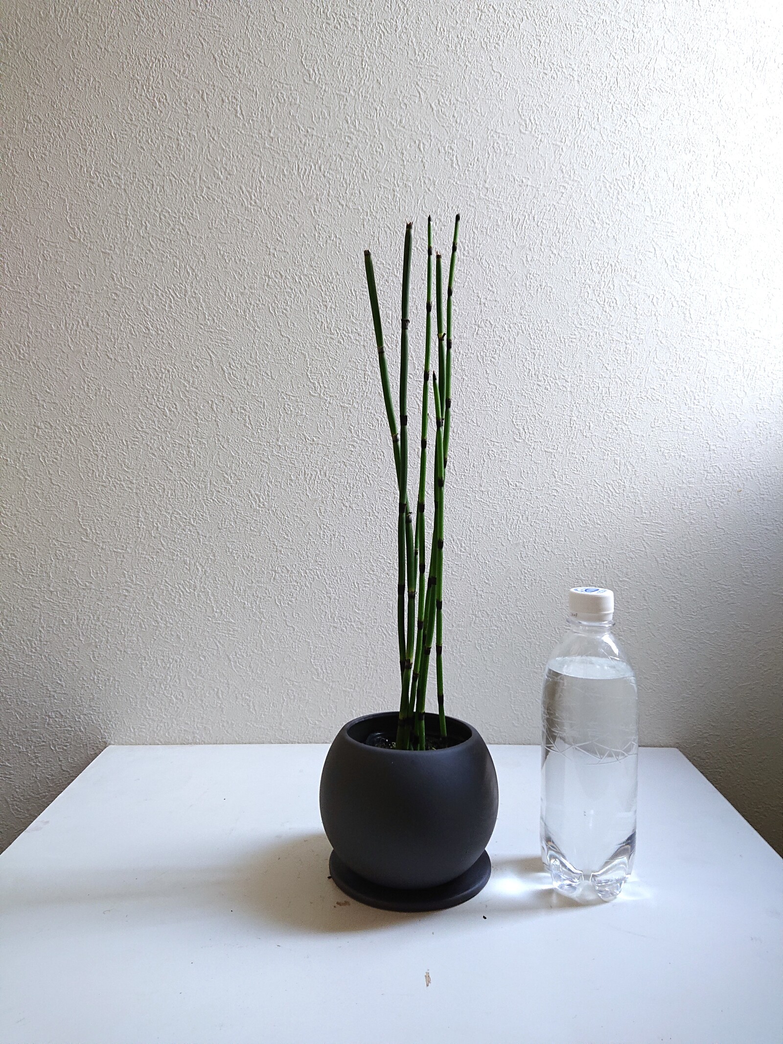 陶器製花瓶 花の彫刻 ダークグレー（hand objet/dark gray