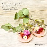🌿【Strawberry Milk Cake】本物のいちご 🌿受注製作