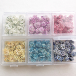 10％off中【新品種】かすみ草ラメ付き6色set
