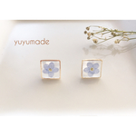 勿忘草の押し花ピアス