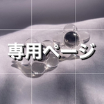 専用ページ