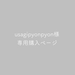 usagipyonpyon様専用購入ページ
